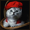 Фрилансер Евгений Лигай SMO 1234wsx