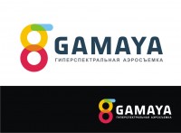 Разработка логотипа для компании Gamaya - фото 61