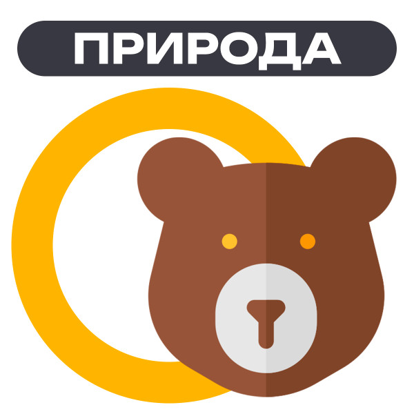 Ассоциация защиты дикой природы