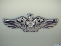 Chrome eagle (2)
