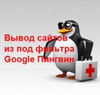 Вывод из под фильтра Google Пингвин интернет магазина оптических устройств.