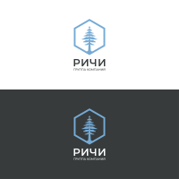 Редизайн логотипа - фото 274