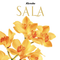 Буклет косметический линии Sala