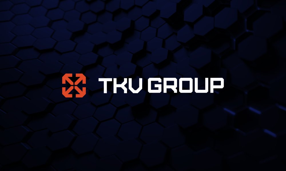 Фирменный стиль для компании TKW
