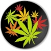 Фрилансер Denis Kannabis Логотипы kannabis
