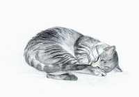 Кошечка