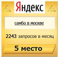 самбо в москве - 5 место Яндекс
