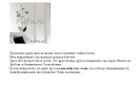 Наклейка на стену "Спокойствие".