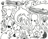 Море
