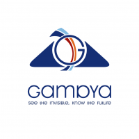Разработка логотипа для компании Gamaya - фото 72