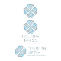 Разработка логотипа  TRIUMPH MEDIA с изображением клевера - фото 76